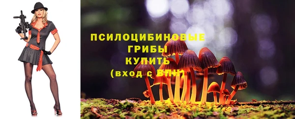 apvp Алзамай
