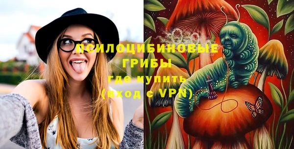 apvp Алзамай