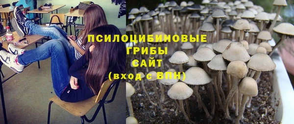 apvp Алзамай